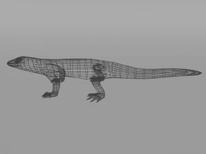 komodo dragon 3D Model
