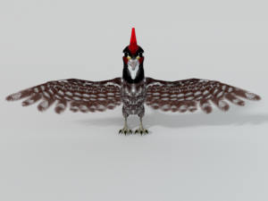 woodpecker bird 3D Model