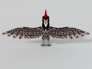 woodpecker bird 3D Model