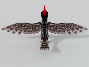woodpecker bird 3D Model