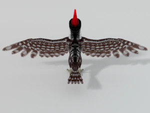 woodpecker bird 3D Model