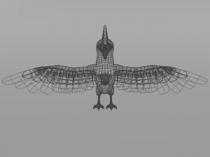 woodpecker bird 3D Model