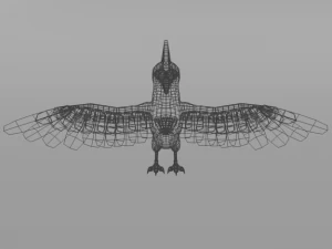 woodpecker bird 3D Model