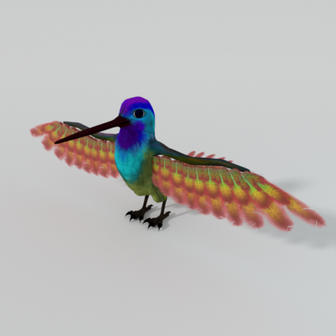 hummingbird Modelo 3D .c4d .max .obj .3ds .fbx .stl .blend 