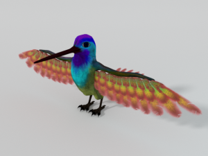 hummingbird 3D Model