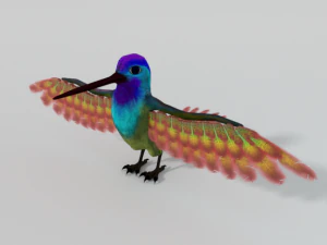 colibr&igrave; Modello 3D