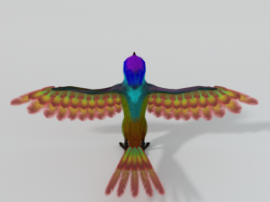 hummingbird Modelo 3D