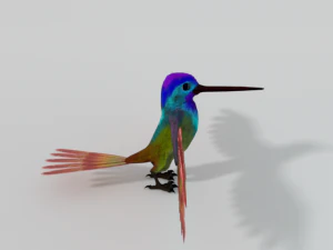 colibr&igrave; Modello 3D