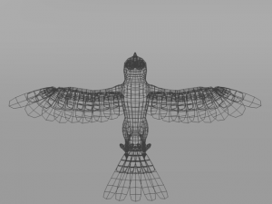 hummingbird Modelo 3D