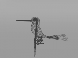 hummingbird Modelo 3D