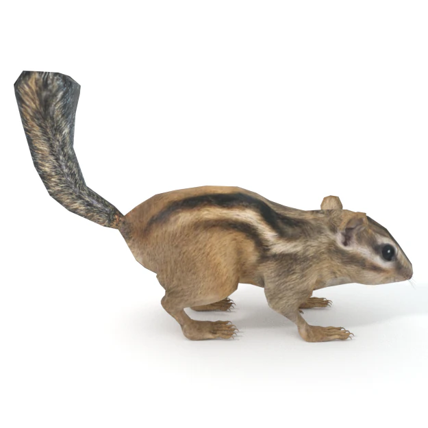 chipmunk 3D Model .c4d .max .obj .3ds .fbx .stl .blend 