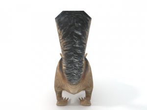 chipmunk Modèle 3D