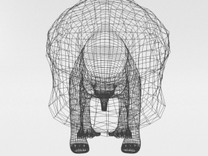 anteater Model 3D