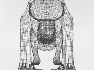 anteater Model 3D