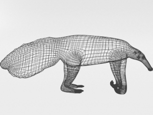 anteater Model 3D