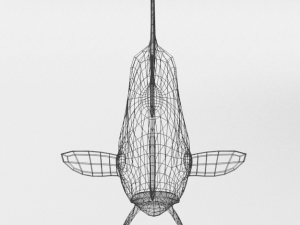 scalar fish Modelo 3D