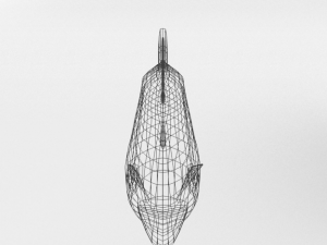 trout 3D Model