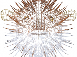 blowfish 3D Модель