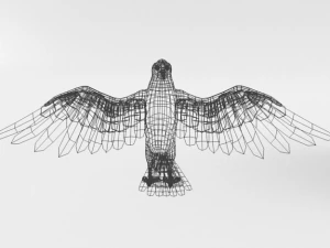 turkey buzzard 3D Model