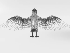 turkey buzzard 3D Model