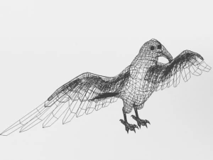 turkey buzzard 3D Model