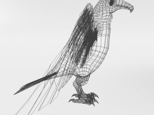 turkey buzzard Modelo 3D