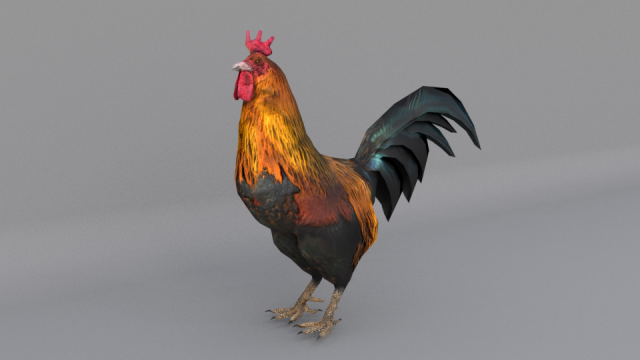 animal animals low poly lowpoly nature fbx gameready realistic bird Modelo 3D .c4d .max .obj .3ds .fbx .stl .blend 