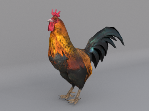 animal animals low poly lowpoly nature fbx gameready realistic bird 3D-Modell