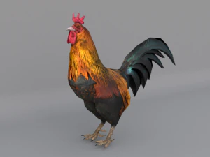 zwierzę zwierzęta low poli lowpoly natura fbx gameready realistyczny ptak Model 3D