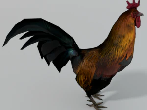 animal animals low poly lowpoly nature fbx gameready realistic bird 3D Model