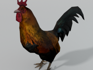 animal animals low poly lowpoly nature fbx gameready realistic bird Modelo 3D