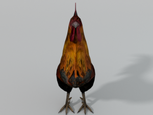 animal animals low poly lowpoly nature fbx gameready realistic bird Modelo 3D