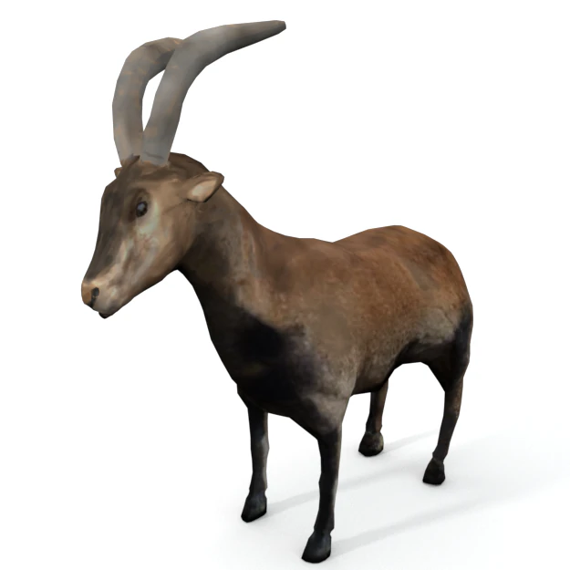 goat mammal 3D Model .c4d .max .obj .3ds .fbx .stl .blend 