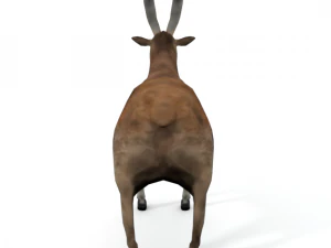goat mammal 3D Model