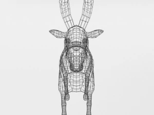 goat mammal 3D Model