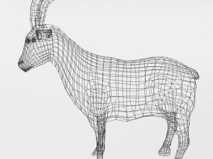goat mammal 3D Model