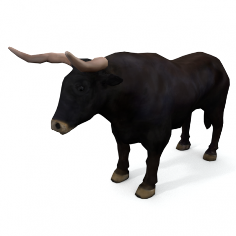 bull mammal 3D Model .c4d .max .obj .3ds .fbx .stl .blend 