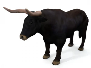 Bullens&auml;ugetier 3D Modell