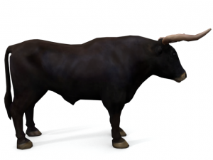 bull mammal 3D Model