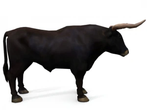 bull mammal 3D Model