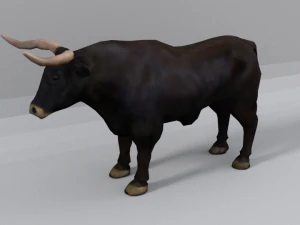 bull mammal 3D Model