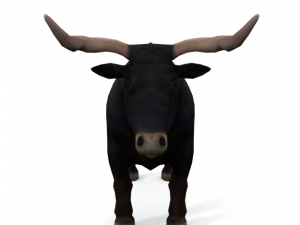 bull mammal 3D Model