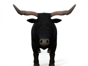 bull mammal 3D Model