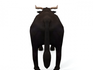 bull mammal 3D Model