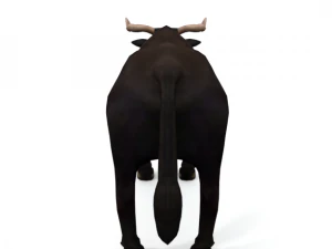 bull mammal 3D Model