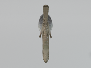 anchovy 3Dモデル