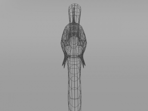 anchovy 3Dモデル