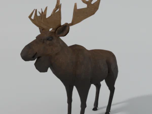 лось 3D Модель