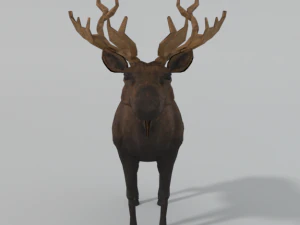лось 3D Модель