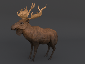 moose 3D मॉडल
